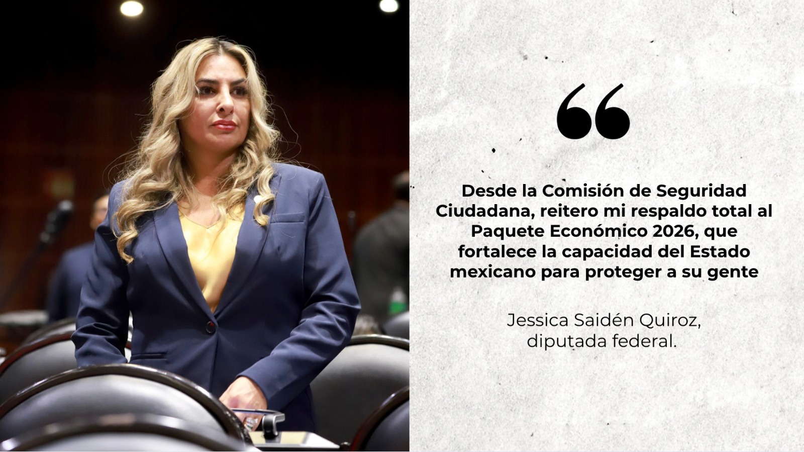 Jessica-Saiden-comision-seguridad